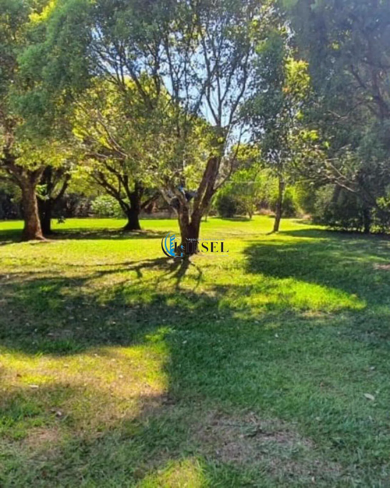 Chácara com 7 quartos, 10.000 m², foto 4 de 7