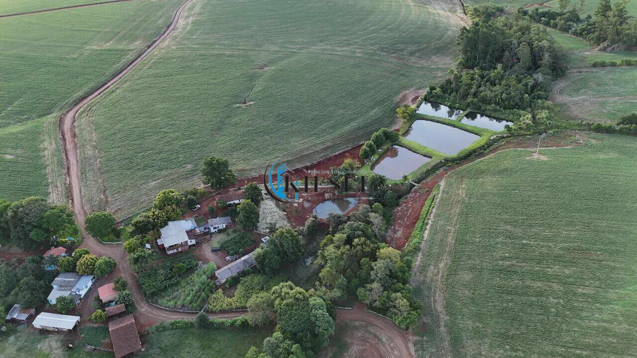 Chácara com 3 quartos, 3 hectares, foto 3 de 8