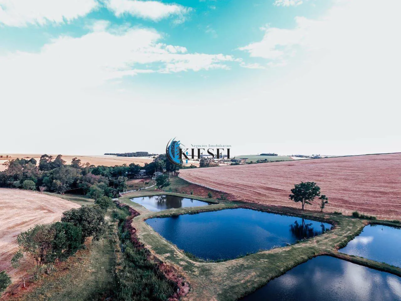 Chácara com 3 quartos, 3 hectares, foto 4 de 8