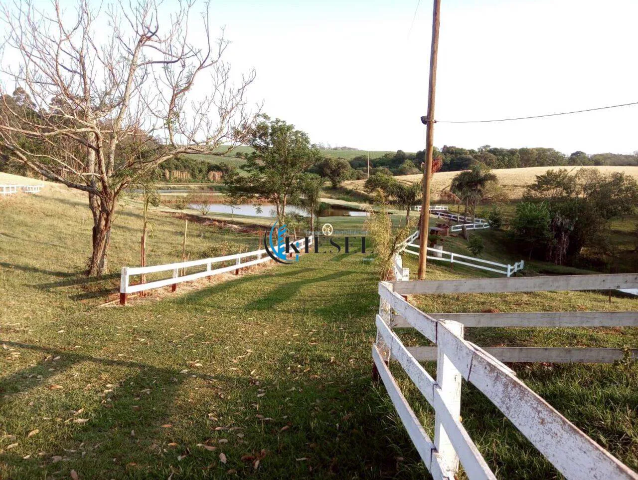 Chácara com 3 quartos, 3 hectares, foto 7 de 8