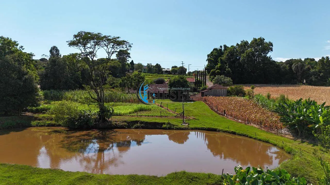 Chácara com 3 quartos, 10.000 m², foto 3 de 15