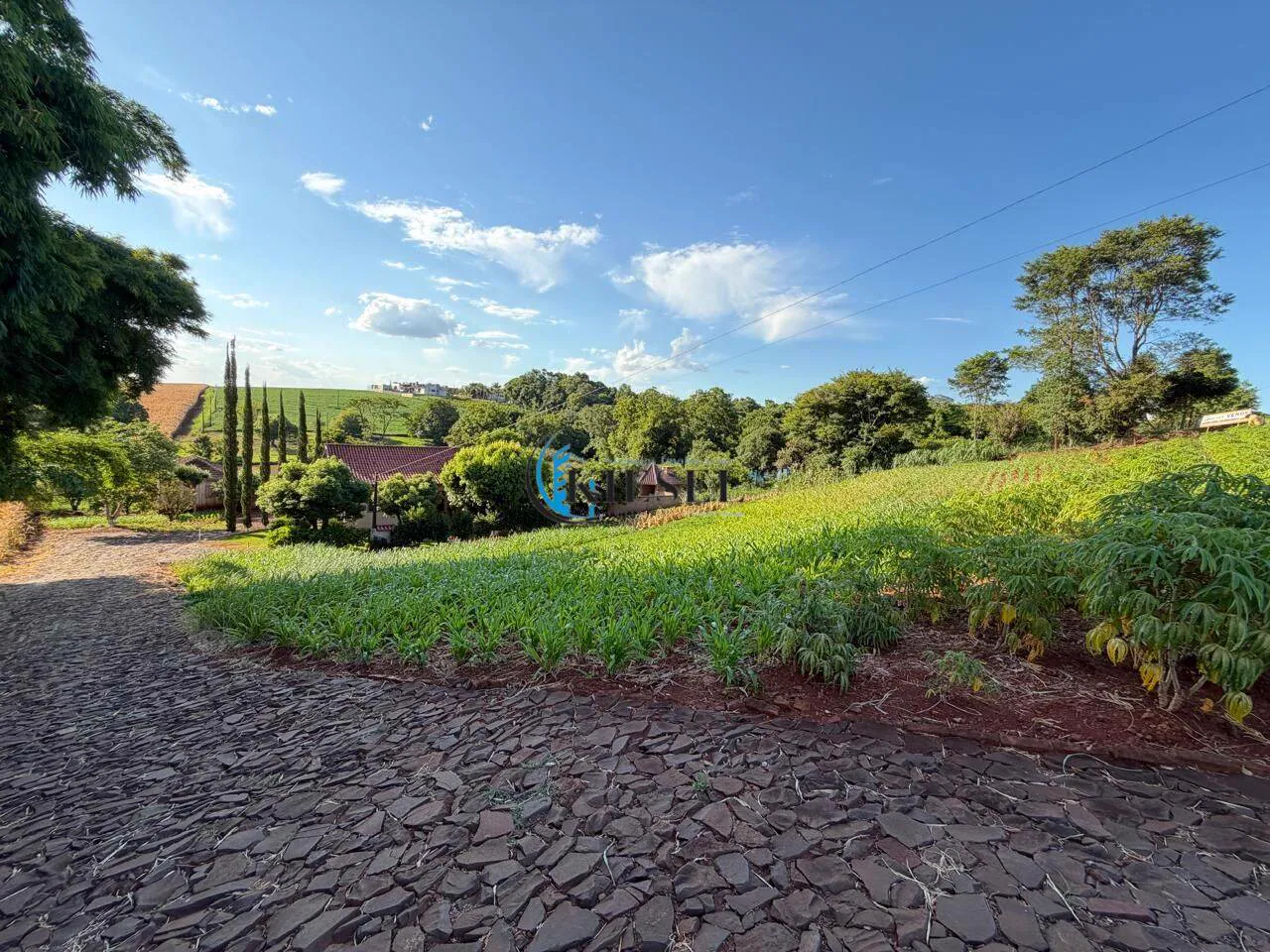 Chácara com 3 quartos, 10.000 m², foto 7 de 15