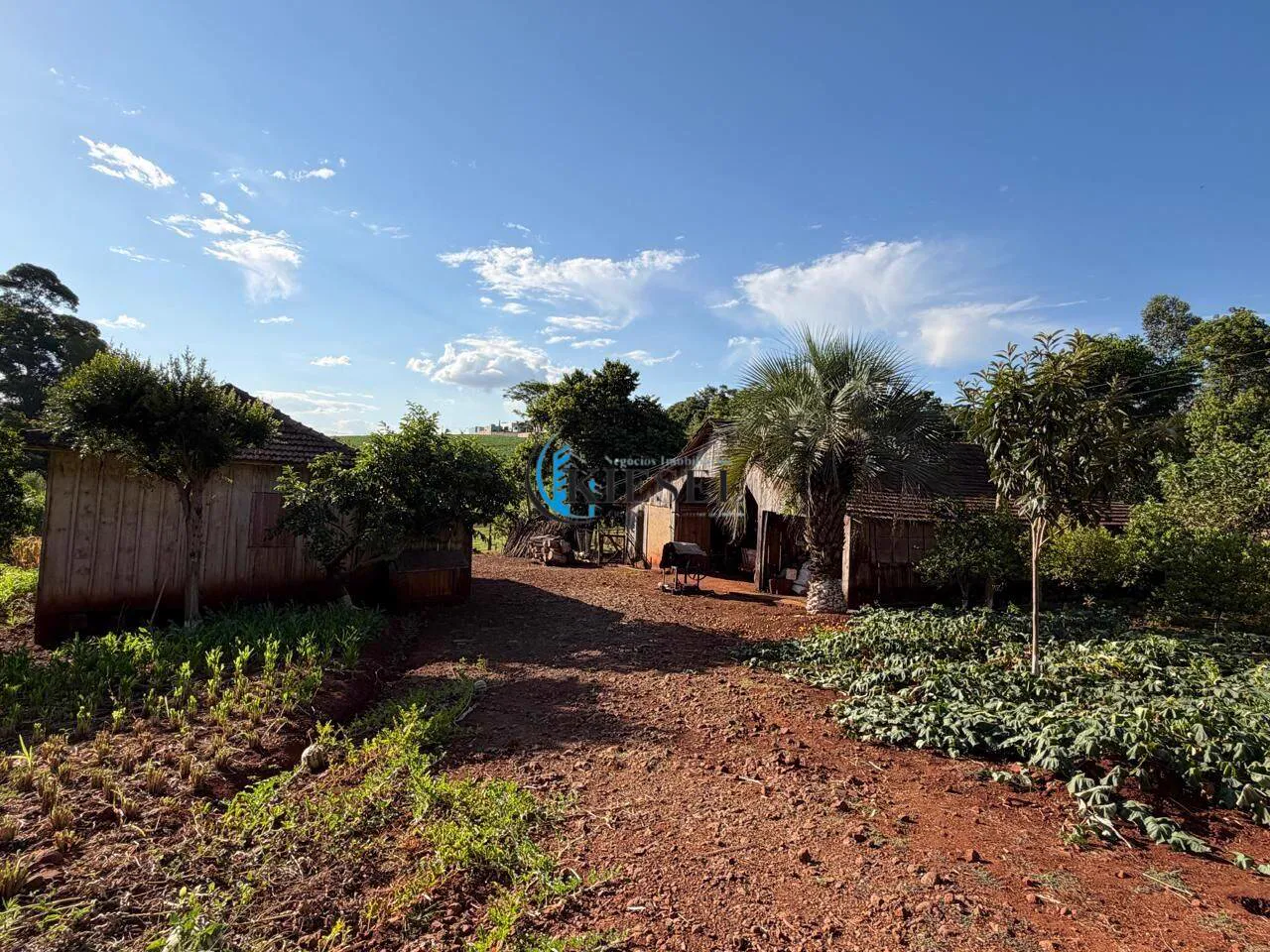 Chácara com 3 quartos, 10.000 m², foto 8 de 15
