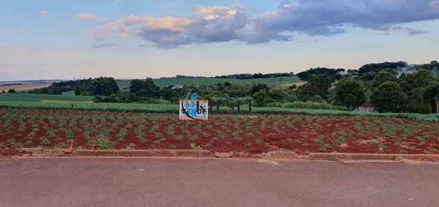Terreno, 374 m² em Santo Antonio